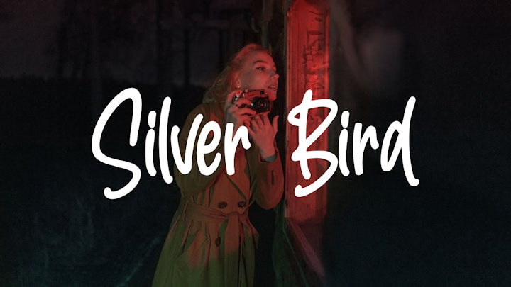 Silver Bird